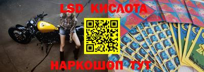 стафф Нальчик