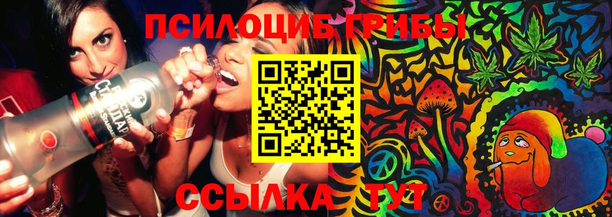 Псилоцибиновые грибы Psilocybine cubensis Верхняя Салда
